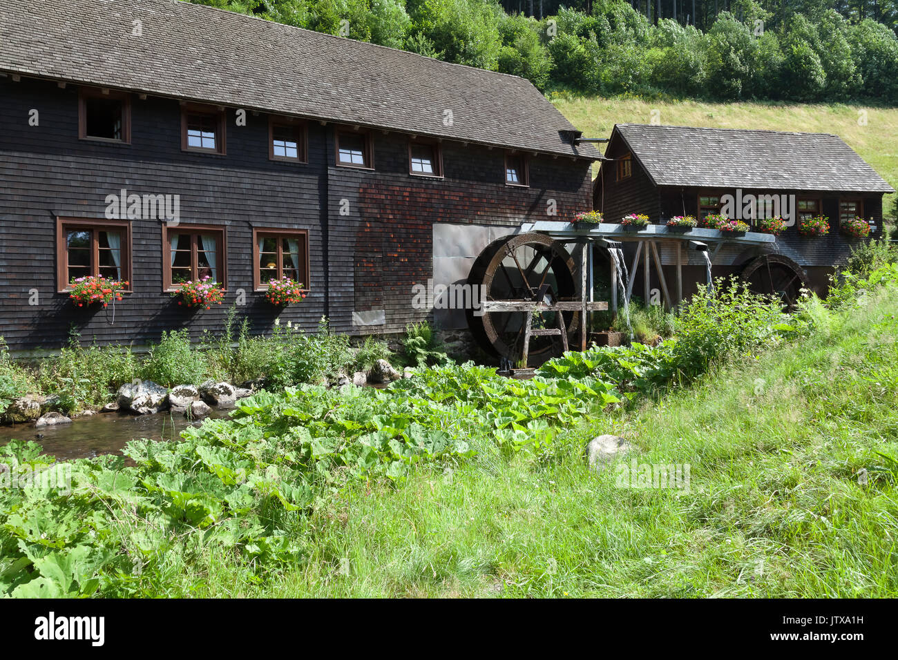 Famous Watermill Hexenlochmuehle in Black Forest Stock Photo