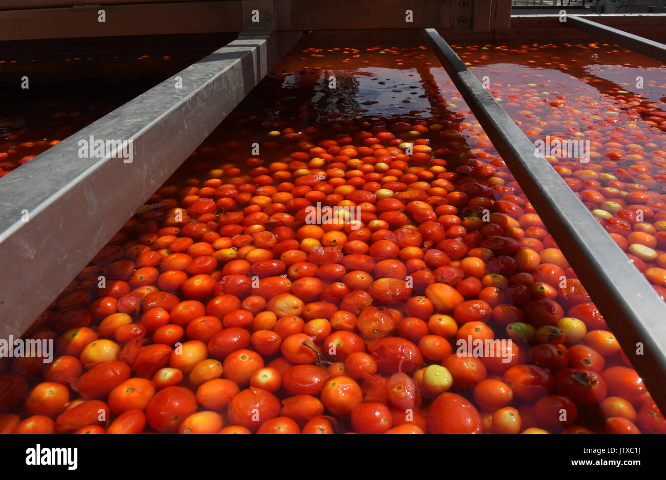 Tomatoes sauce factory hires stock photography and images Alamy