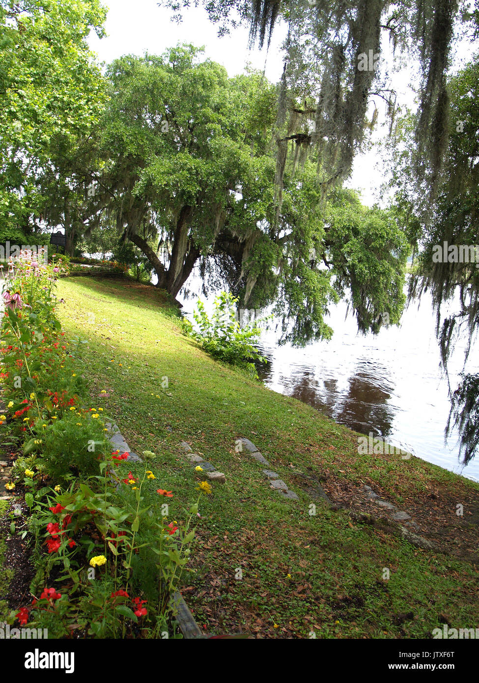Gardens and Ashley River,Magnolia Plantation,Charleston,SC Stock Photo