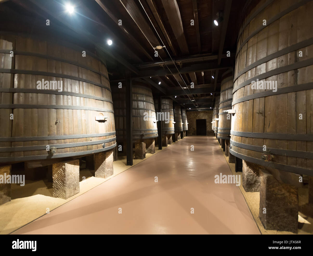 Rows of vertical wooden barrels in old cellar Stock Photo Alamy