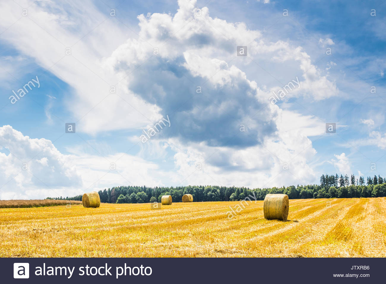 Round Grains Stock Photos Round Grains Stock Images Page 2 Alamy