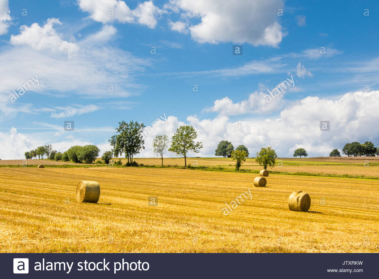 Round Grains Stock Photos Round Grains Stock Images Page 2 Alamy