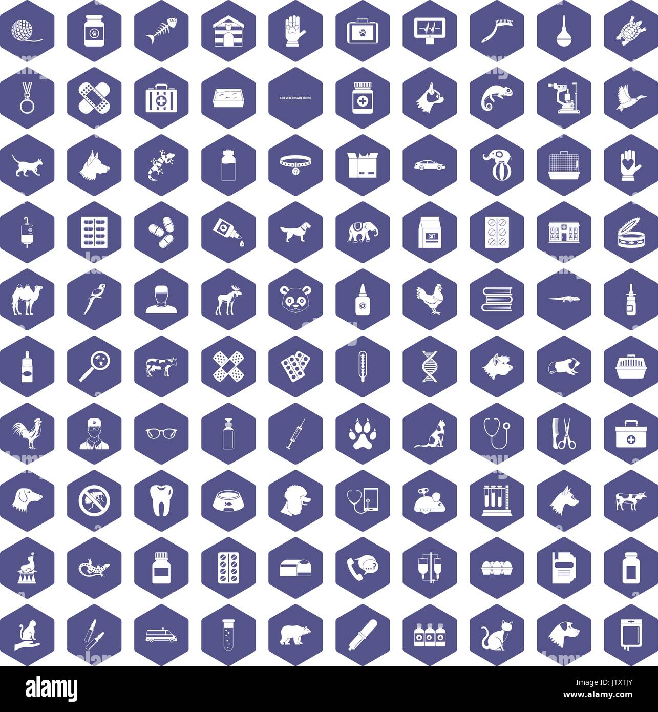 100 veterinary icons hexagon purple Stock Vector