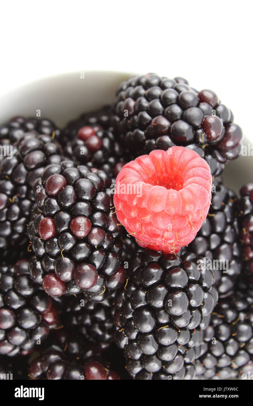 Small Rasperry Fruit fresh blackberry and red raspberry fruits in a small bowl Stock Photo ...