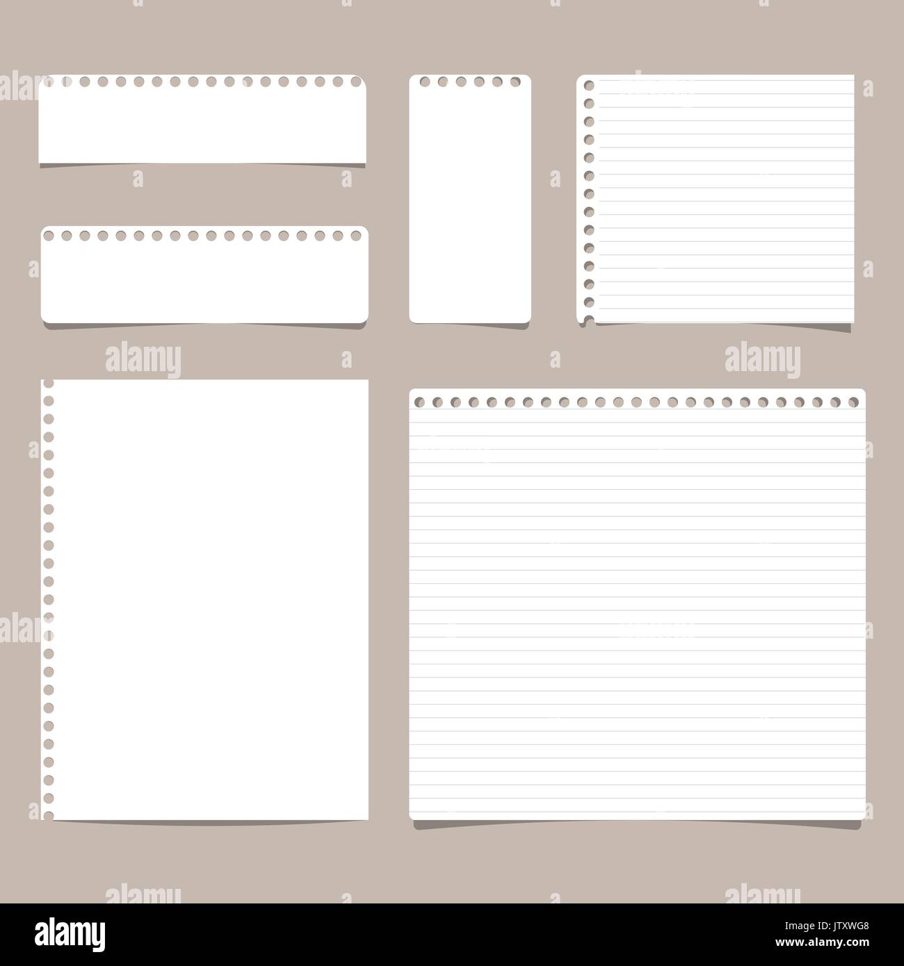 Set of different size ruled and blank note, notebook, copybook paper sheets Stock Vector Image