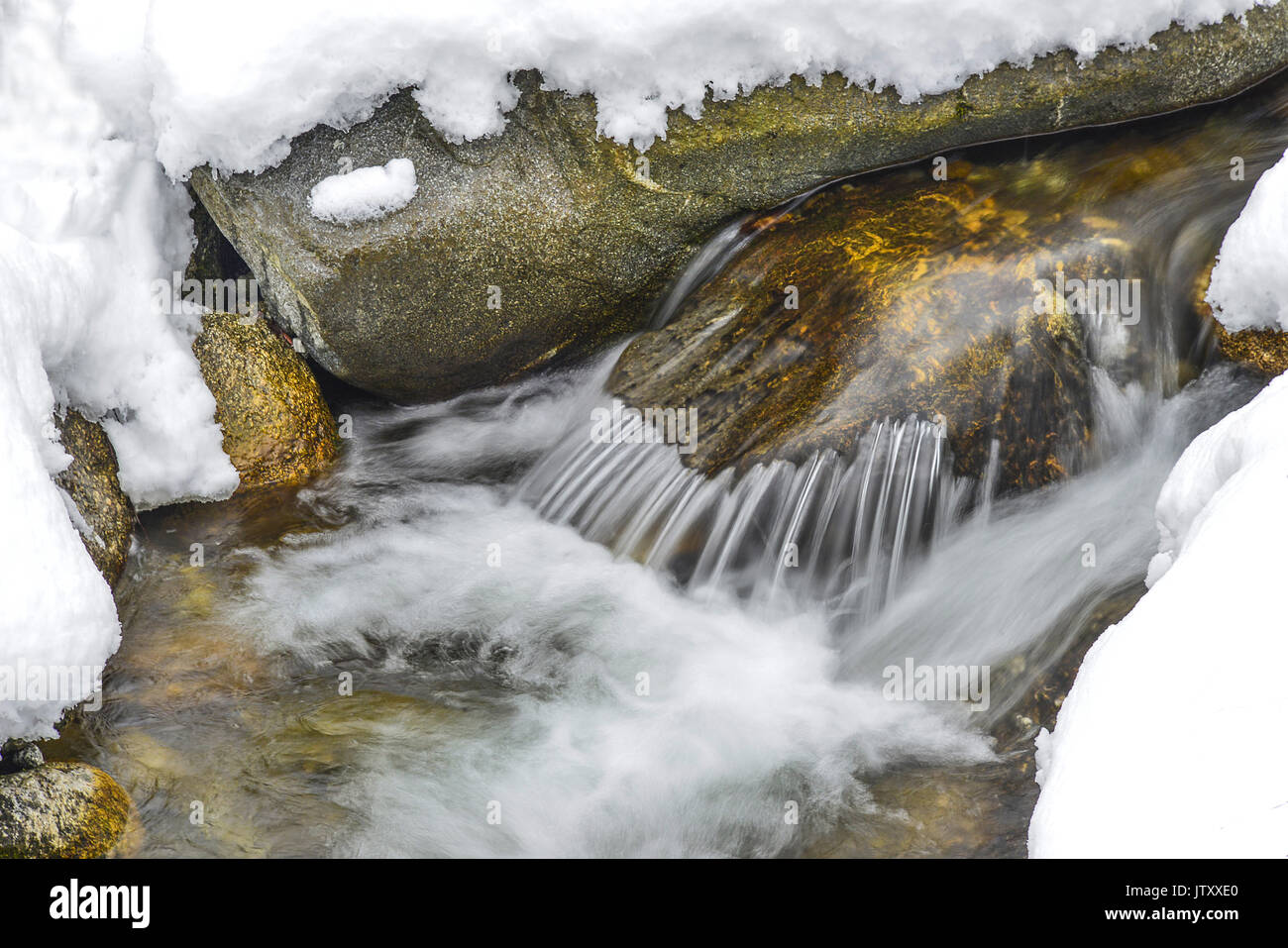 Close up view of winter on the Barreau river near Py, in Occitanie, France. Slow exposure of running water. Stock Photo