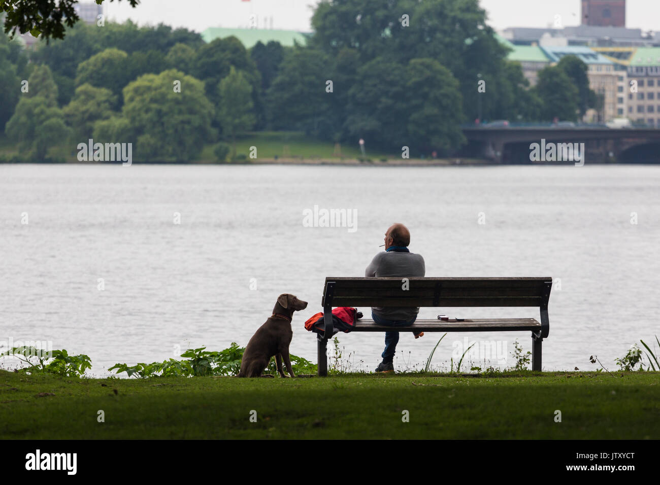 Senior man sits looking out at river, thinking, thoughtful, contemplating with his dog by his side Stock Photo