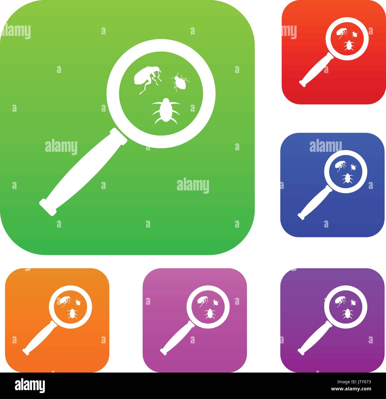 Magnifying Small Insects Magnifier and insects set collection Stock Vector Image & Art - Alamy