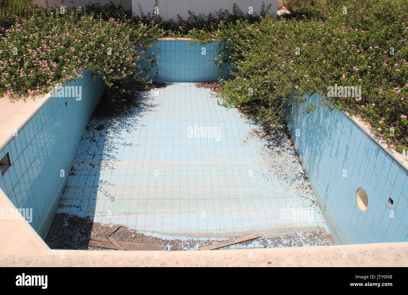 Overgrown Swimming Pool Stock Photo - Alamy