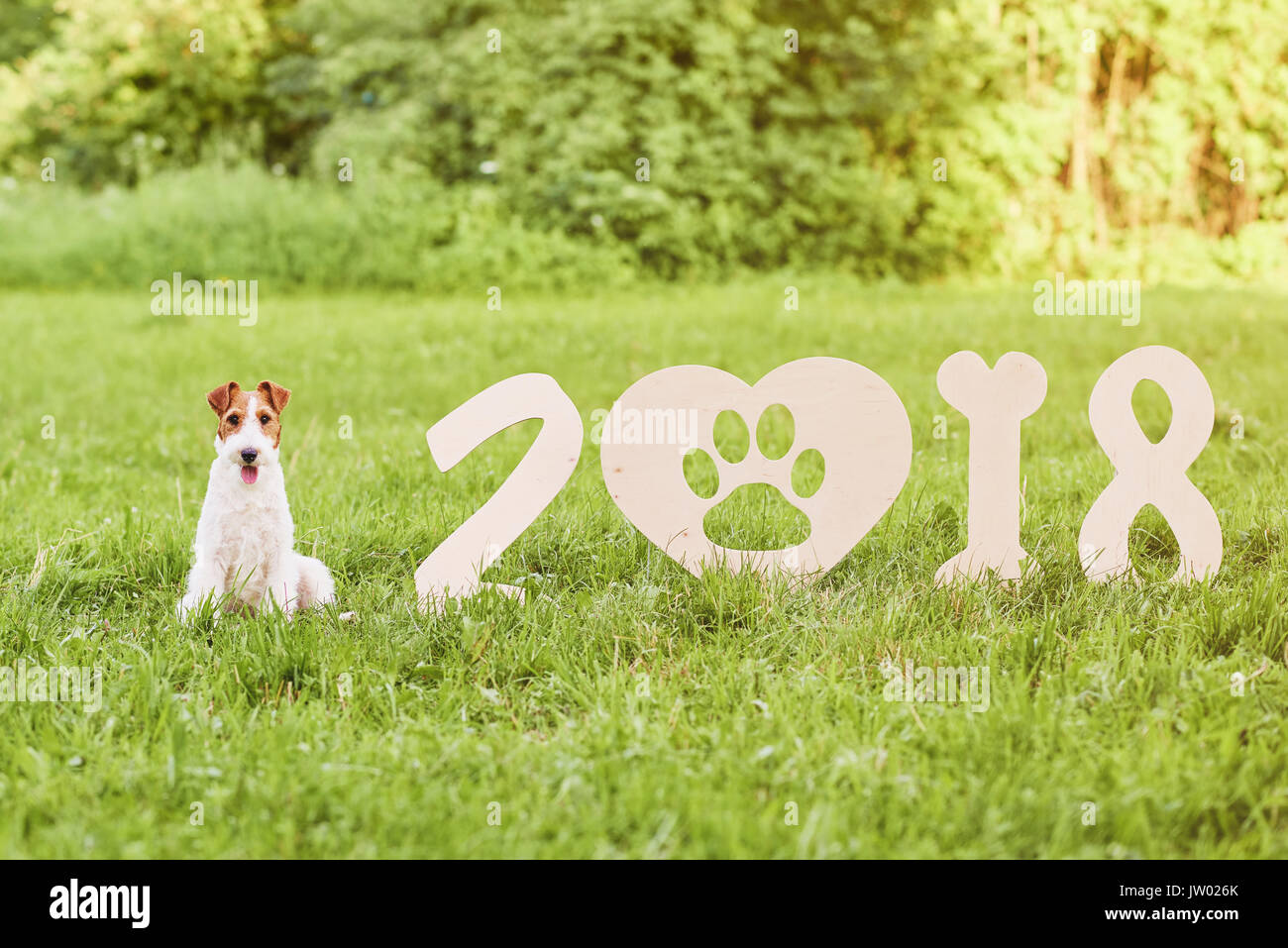 Adorable happy fox terrier dog at the park 2018 new year greetin Stock Photo