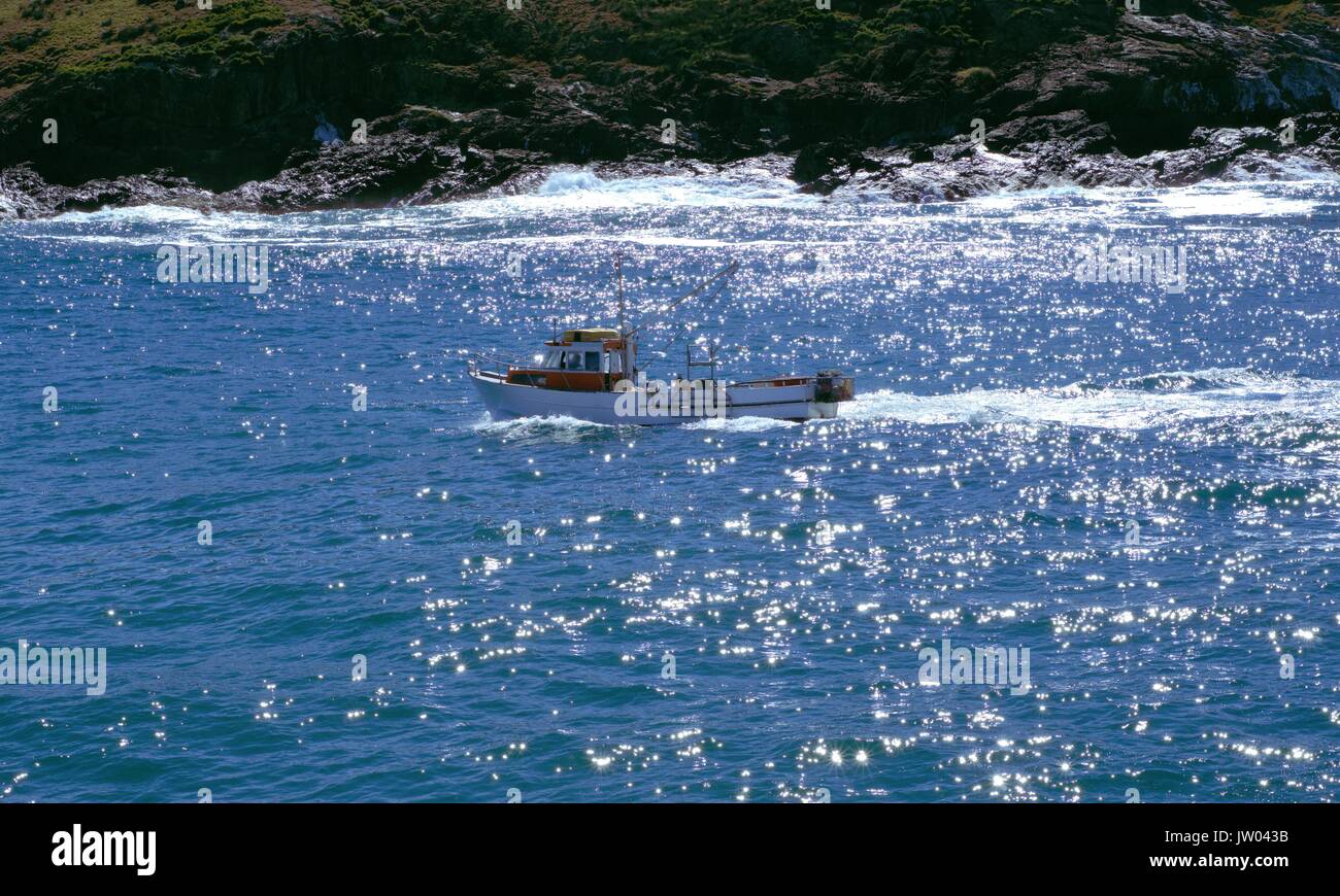Speed boat or fishing boat in sea water Stock Photo - Alamy