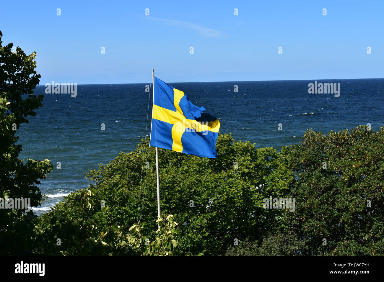 Swedish flag in nature Stock Photo