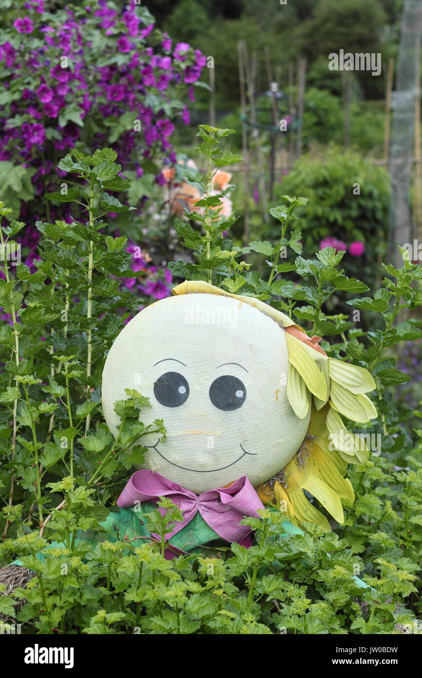 A scarecrow in a suburban allotment garden during an open allotment event in summer, near Sheffield, England, UK Stock Photo