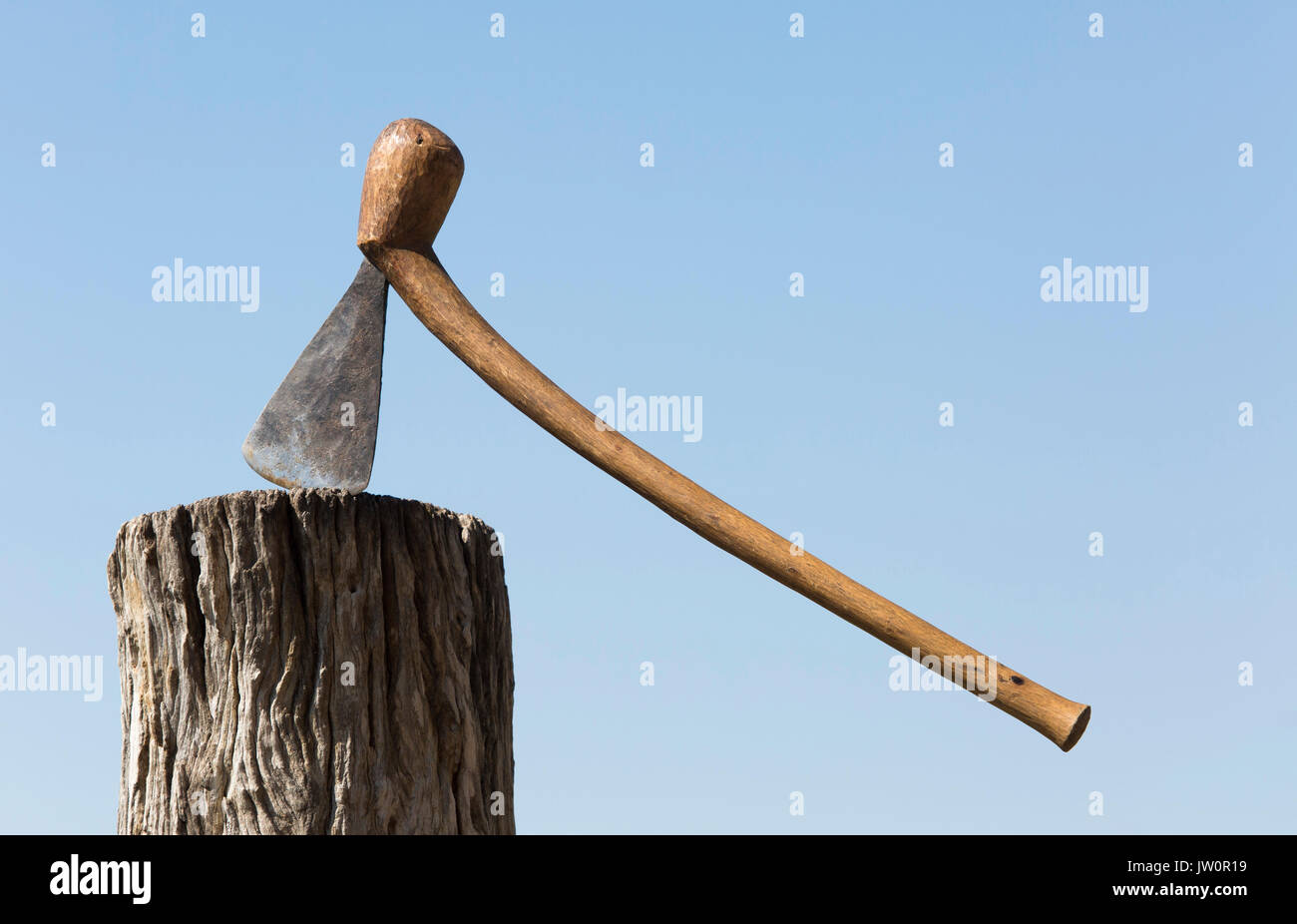 Zimbabwe Indigenous Stock Photos & Zimbabwe Indigenous Stock Images Alamy