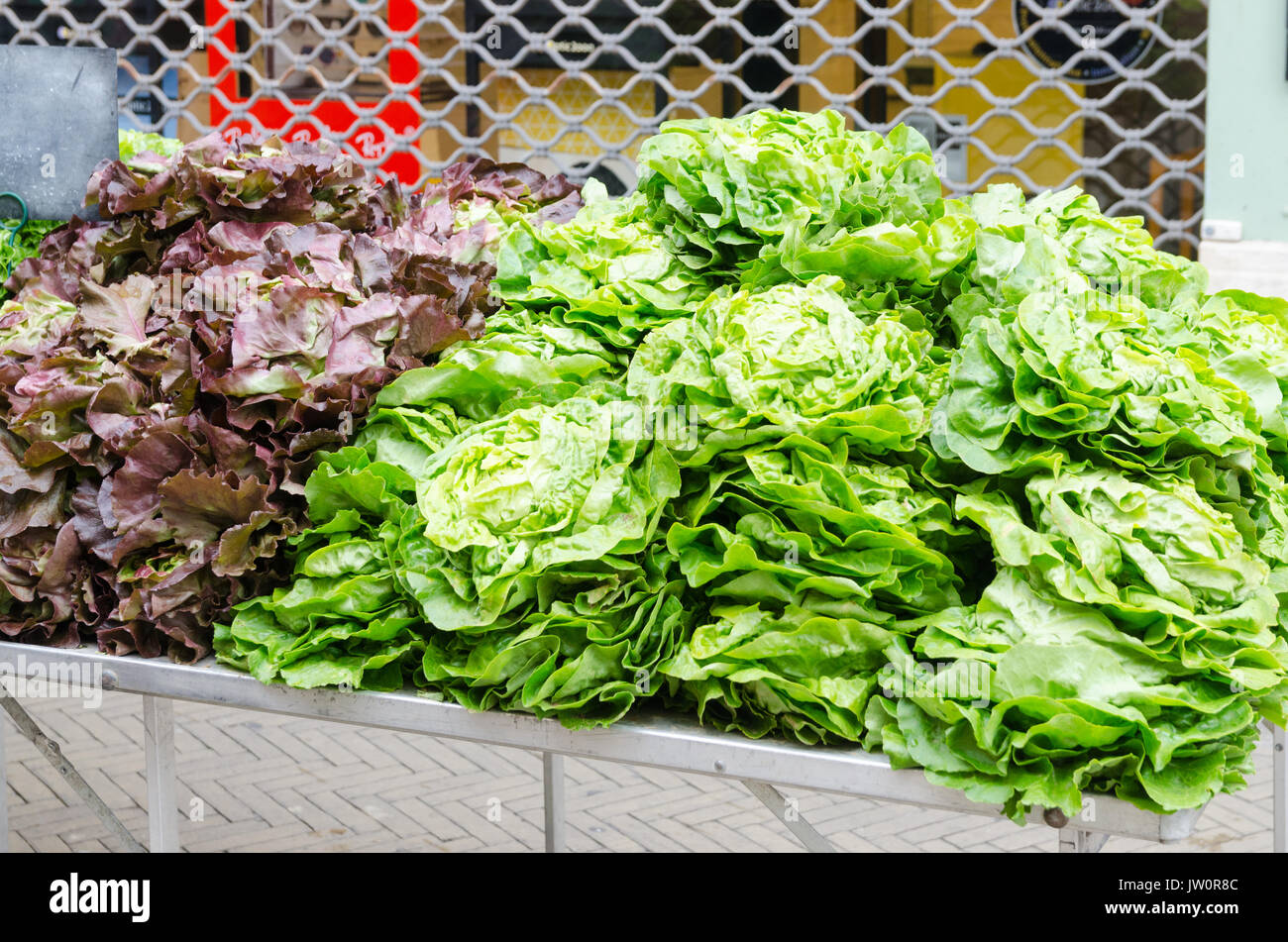 Fresh lettuces on display at Saturday market in Dieppe, Normandy, France Stock Photo