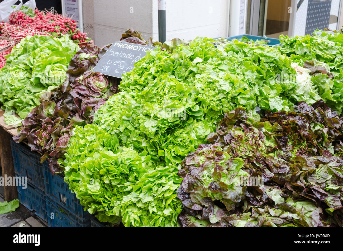 Fresh lettuces on display at Saturday market in Dieppe, Normandy