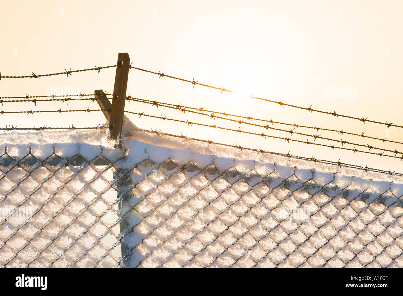Barbed wire fence with snow at sunset. Stock Photo