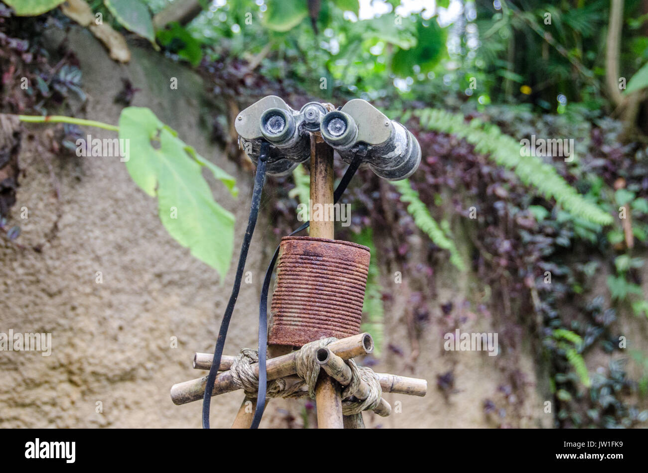 Binocular on a stick Stock Photo Alamy