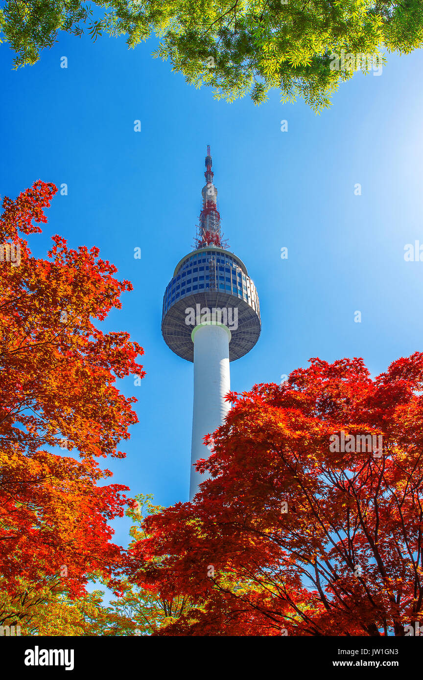 seoul-tower-and-red-autumn-maple-leaves-at-namsan-mountain-in-south