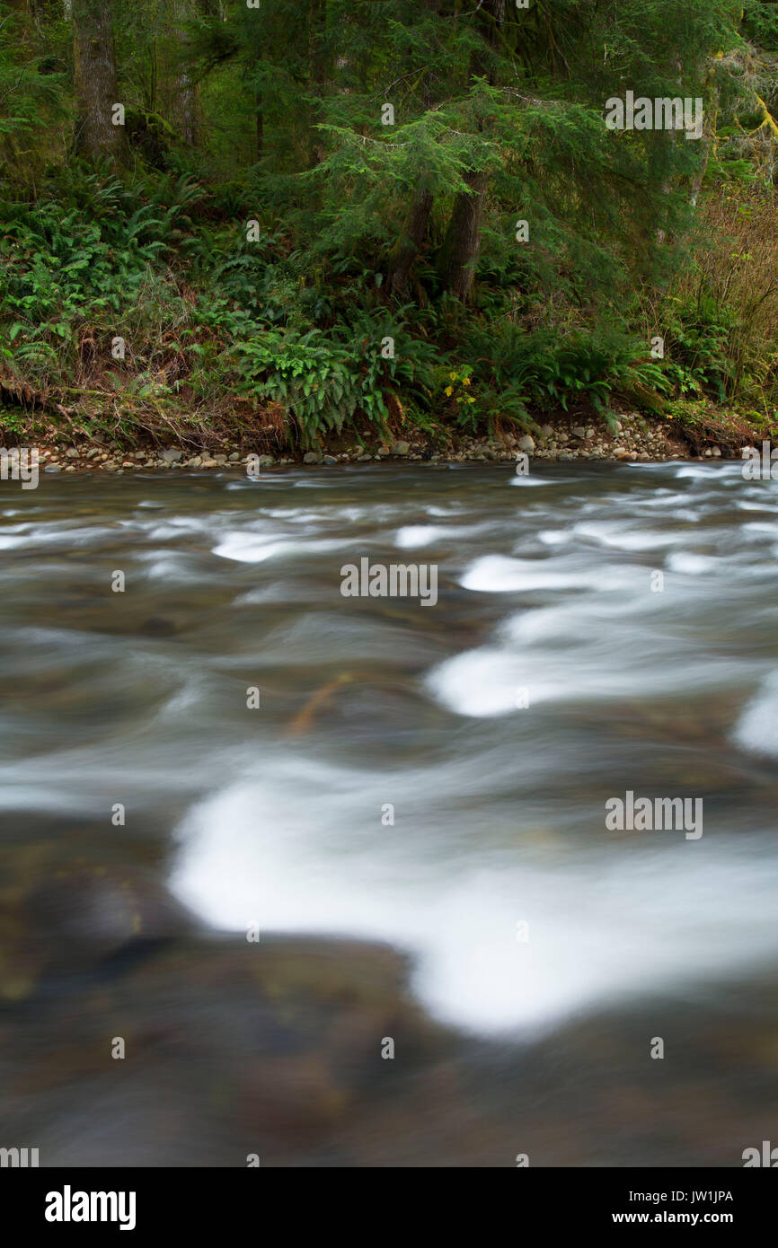 Van duzer corridor state park hires stock photography and images Alamy