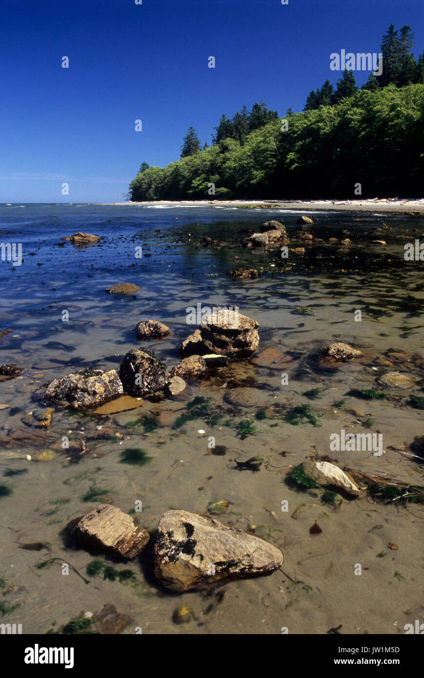 Strait of Juan de Fuca shoreline, Shipwreck Point Natural Area Preserve, Clallam County, Washington Stock Photo