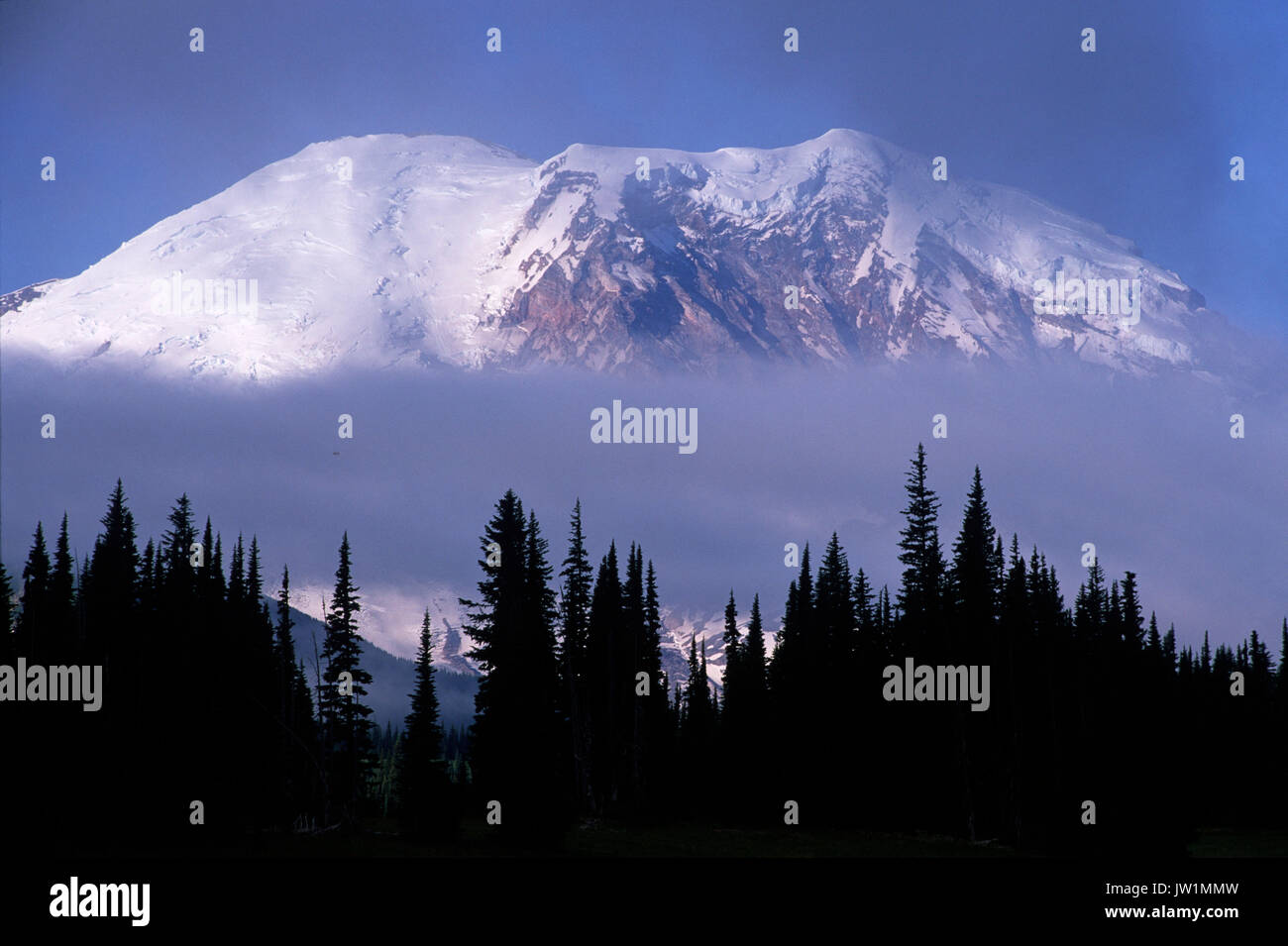 Mt Rainier from Grand Park, Mt Rainier National Park, Washington Stock