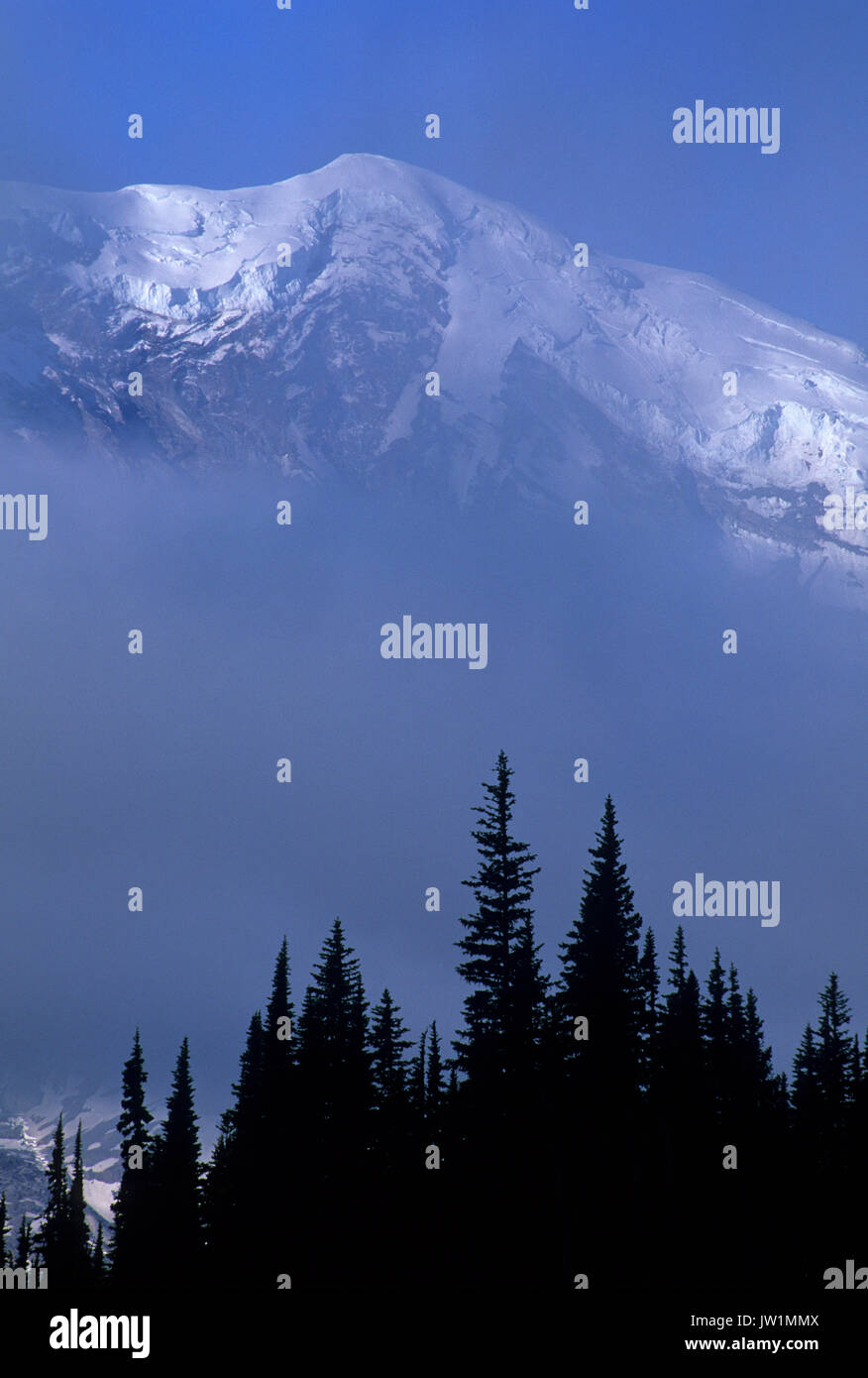 Mt Rainier from Grand Park, Mt Rainier National Park, Washington Stock