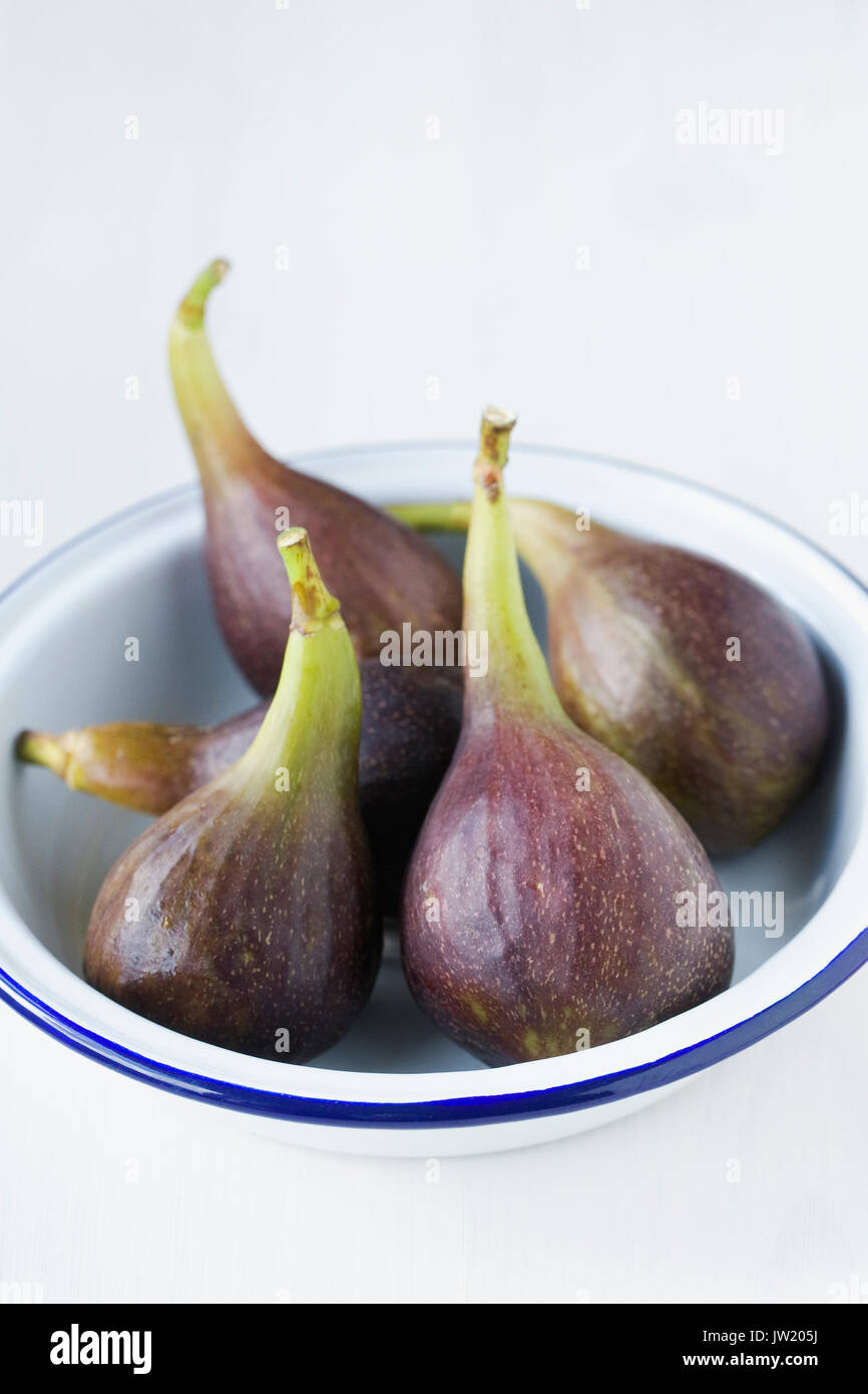 Ficus carica 'Brown Turkey'. Freshly picked figs in an enamel dish Stock Photo
