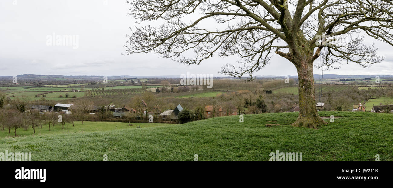 Somerset Cider Brandy, Somerset, UK. Home of Burrow Hill Cider and Somerset Cider Brandy. Julian