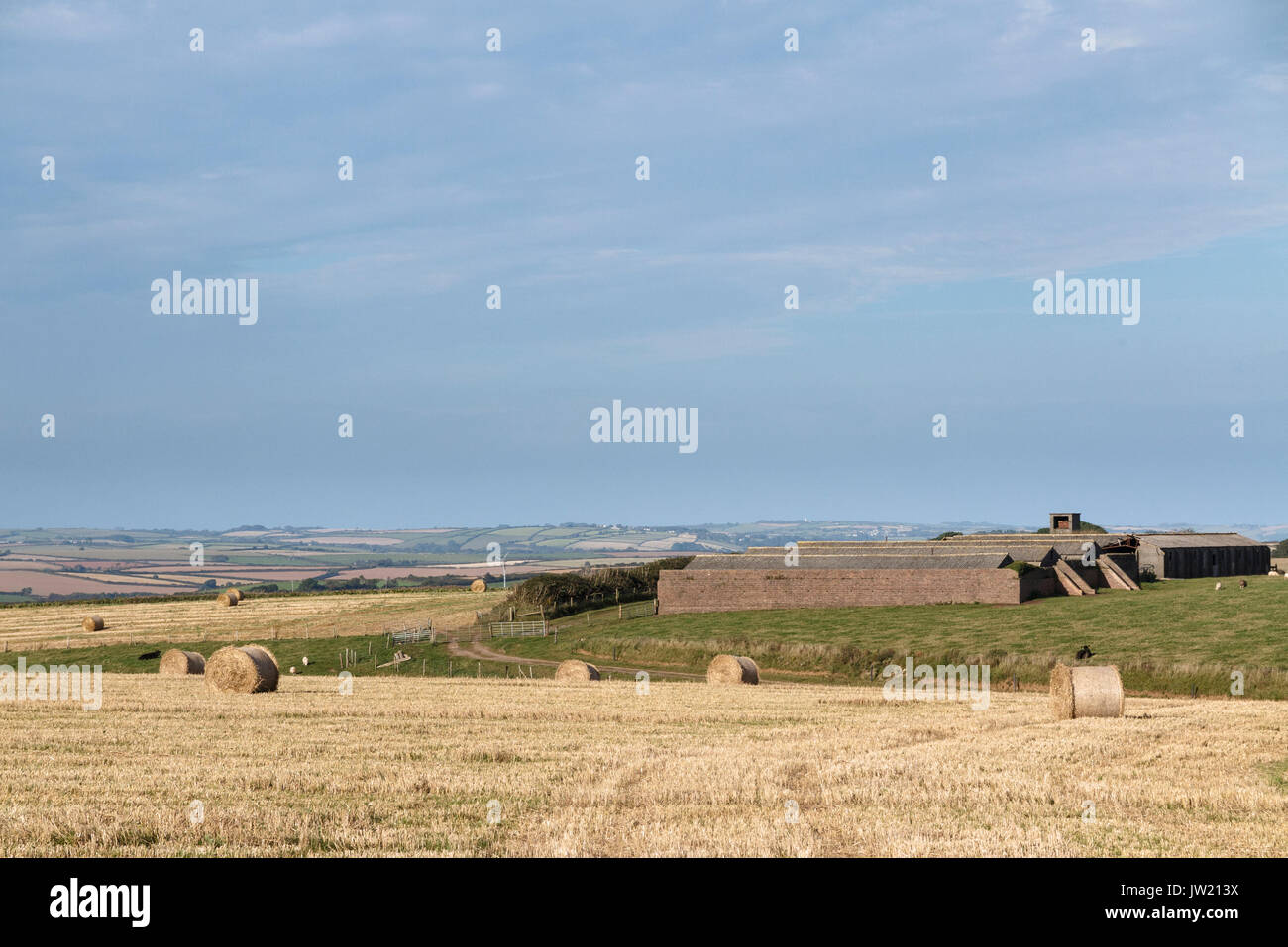 Hay bales in farm field, East Prawle, South devon, UK Stock Photo Alamy