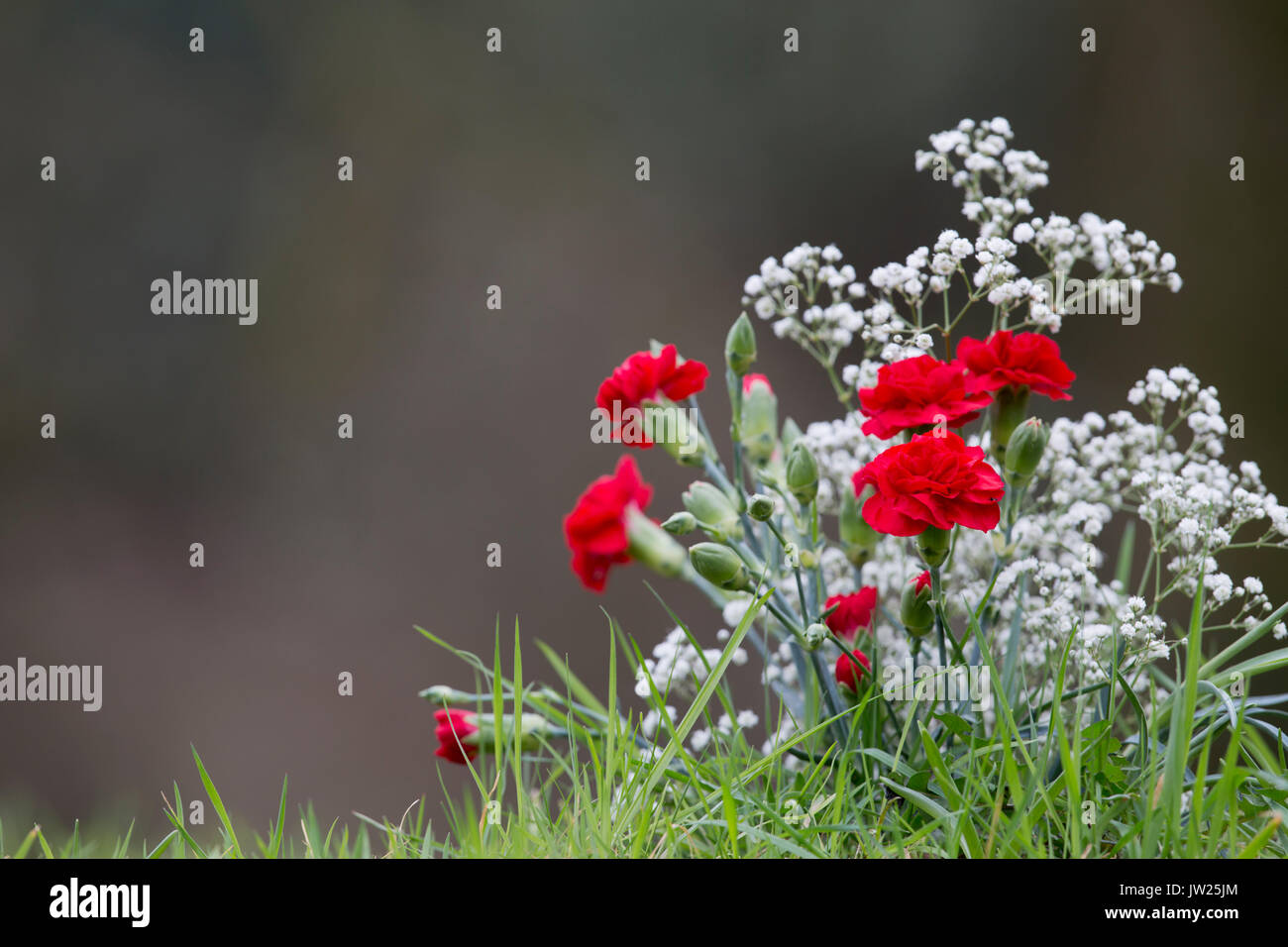 Flowers on a Grave; UK Stock Photo