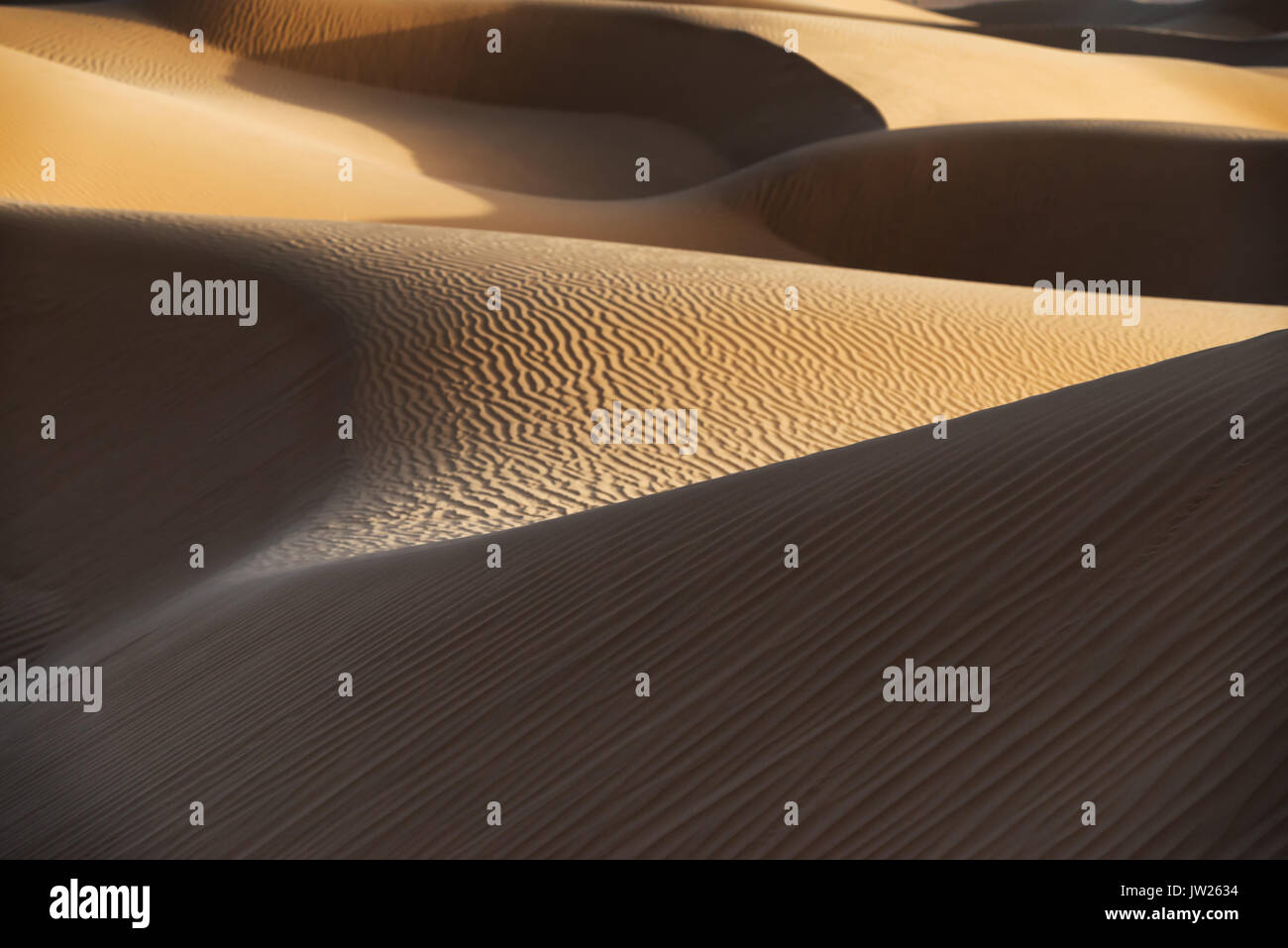Desert sand dunes with dark shadows in the Sahara desert of Morocco. Stock Photo