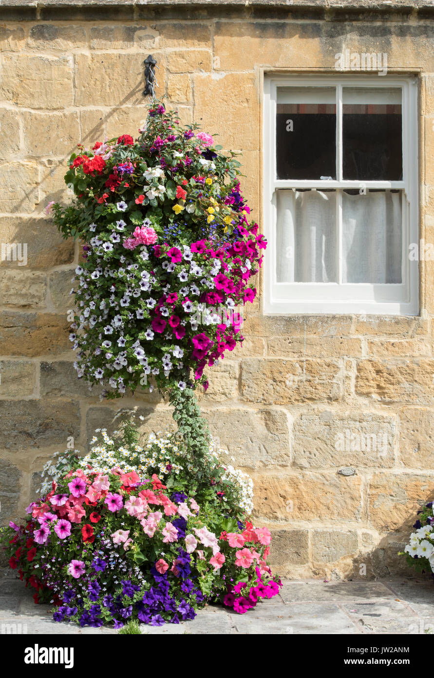 Petunia flowers in hanging baskets on the exterior of Milestone house