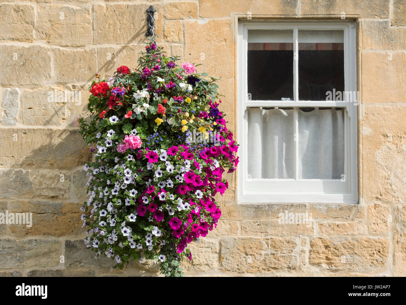 Petunia flowers in hanging baskets on the exterior of Milestone house