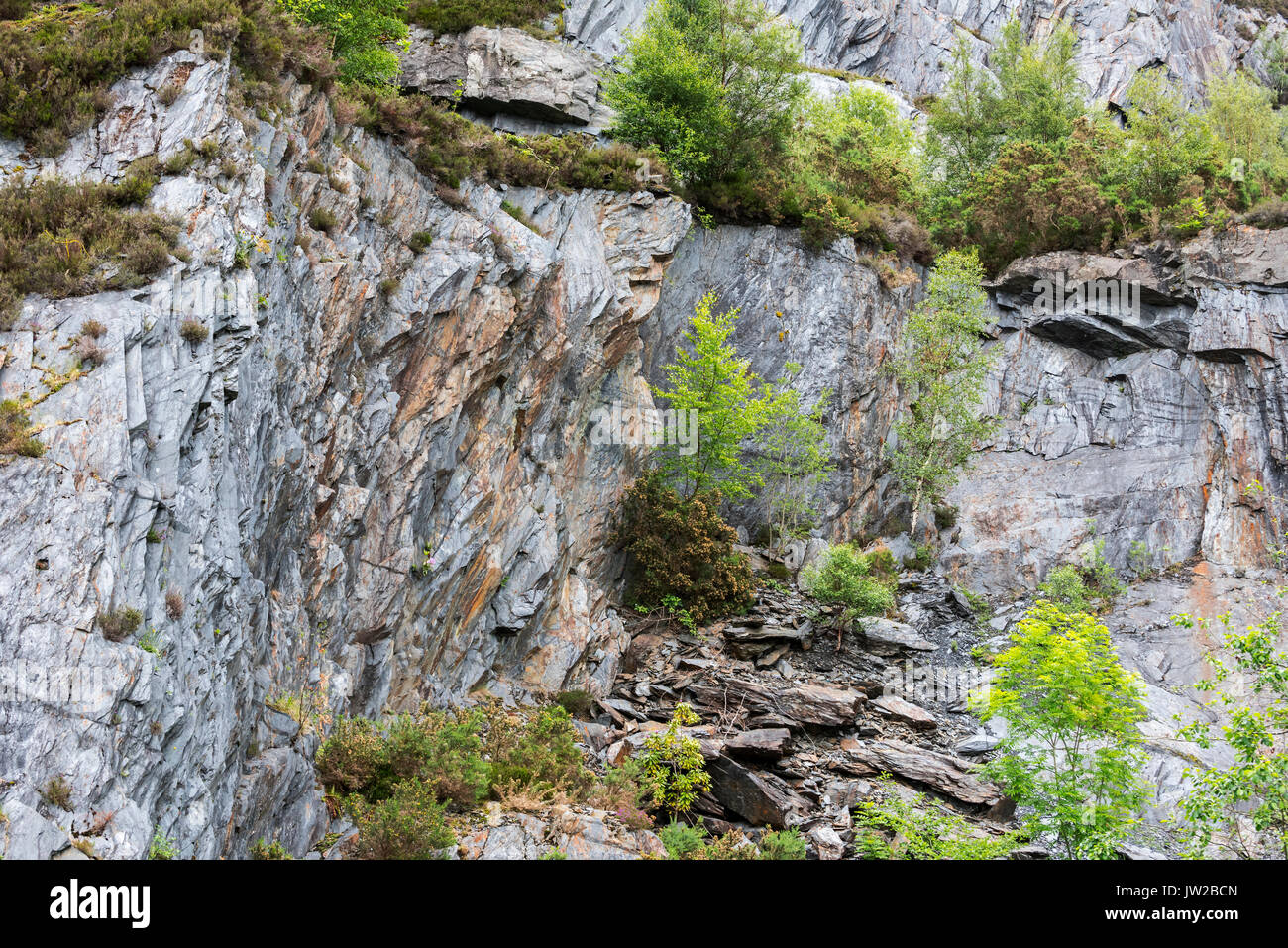 Ballachulish slate quarry showing overgrown cliff, Lochaber, Highland, Scotland, UK Stock Photo
