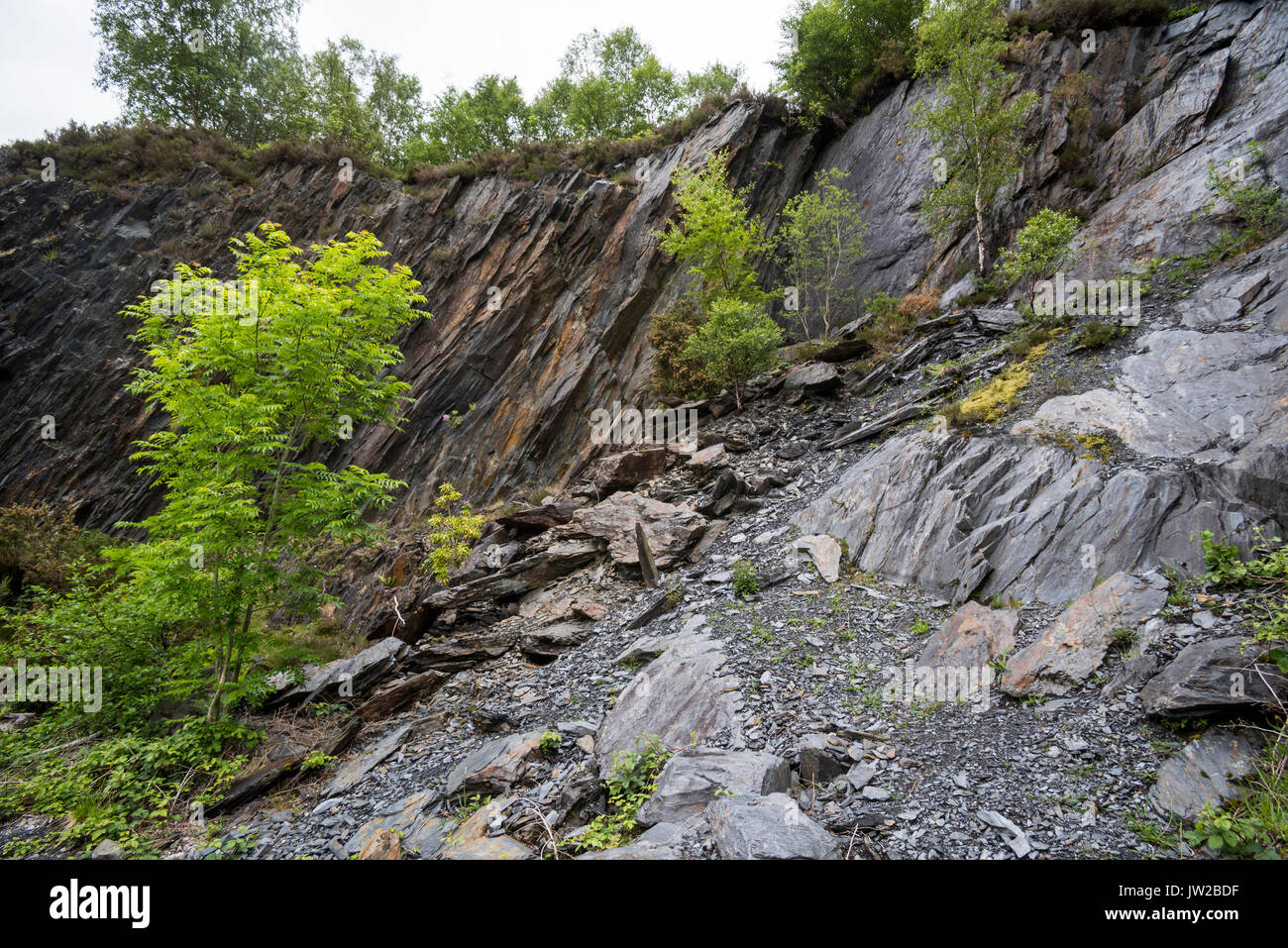 Ballachulish slate quarry showing overgrown cliff, Lochaber, Highland, Scotland, UK Stock Photo