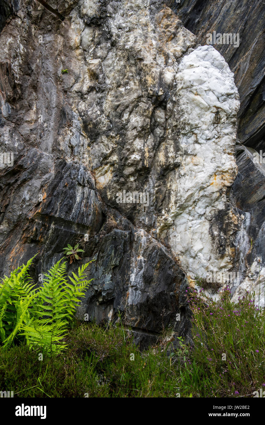 White quartz vein in rock face at the Ballachulish slate quarry in