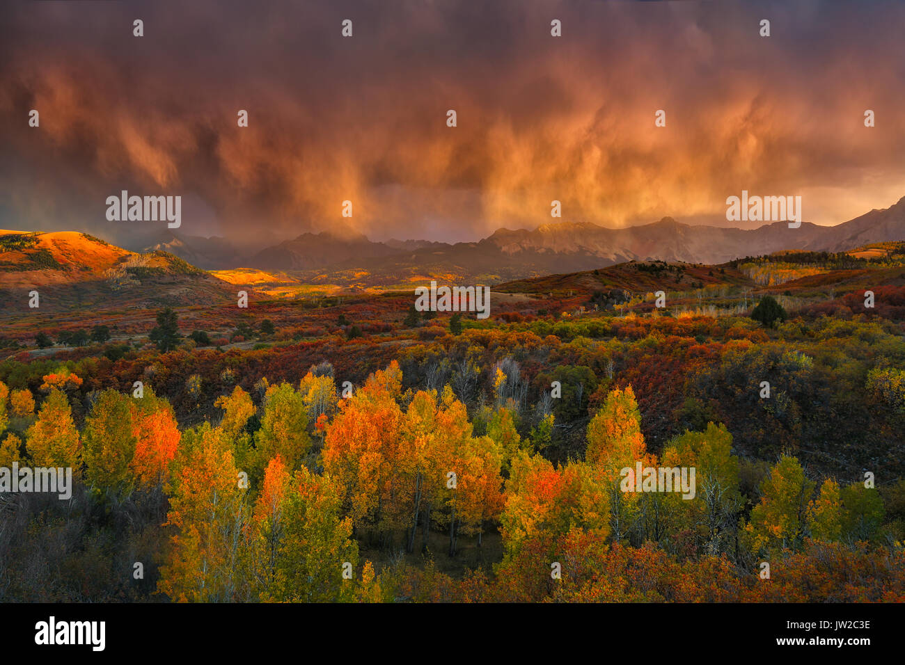 Low clouds, storm clouds glow in the evening light, mountainous landscape, dramatic light above autumn forest, Dallas Divide Stock Photo