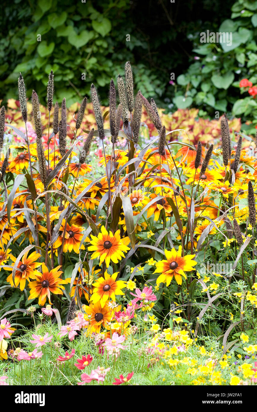 flowering decorative borders Stock Photo Alamy