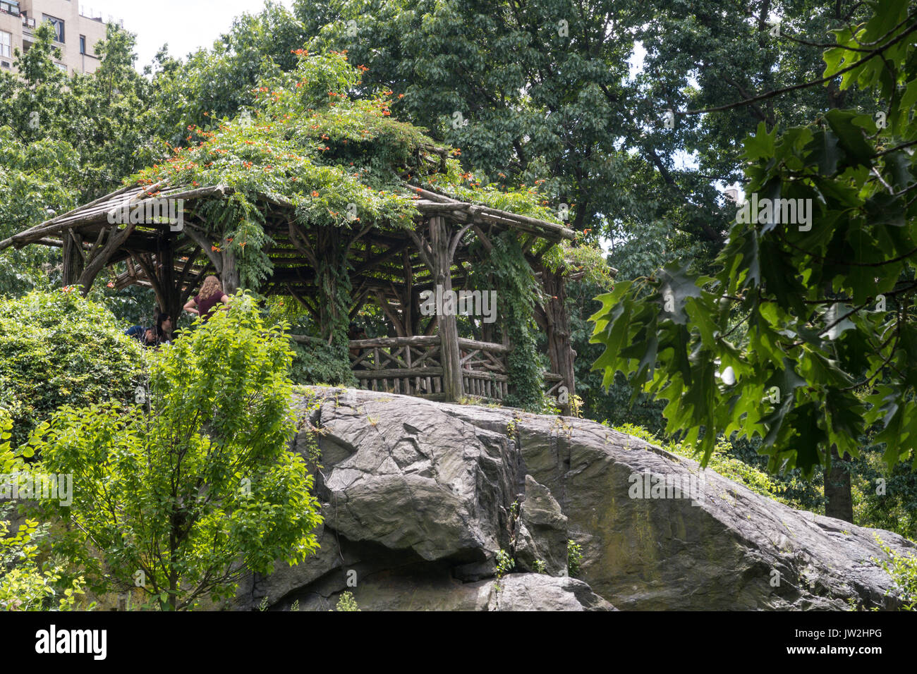 Wooden Gazebo in Central Park, NYC, USA Stock Photo Alamy