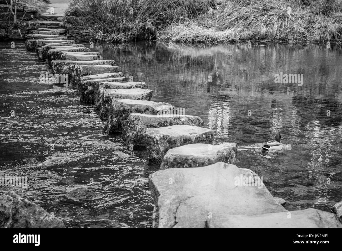 Traditional stepping stones over a river, Lake District, UK Stock Photo