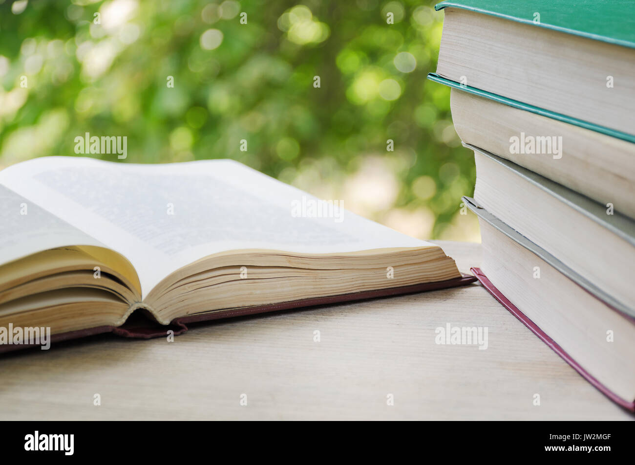 Open book and stack of books on the background of a window with greens. Stock Photo