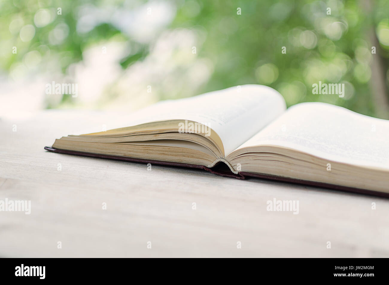 Open book in front of an open window. Stock Photo