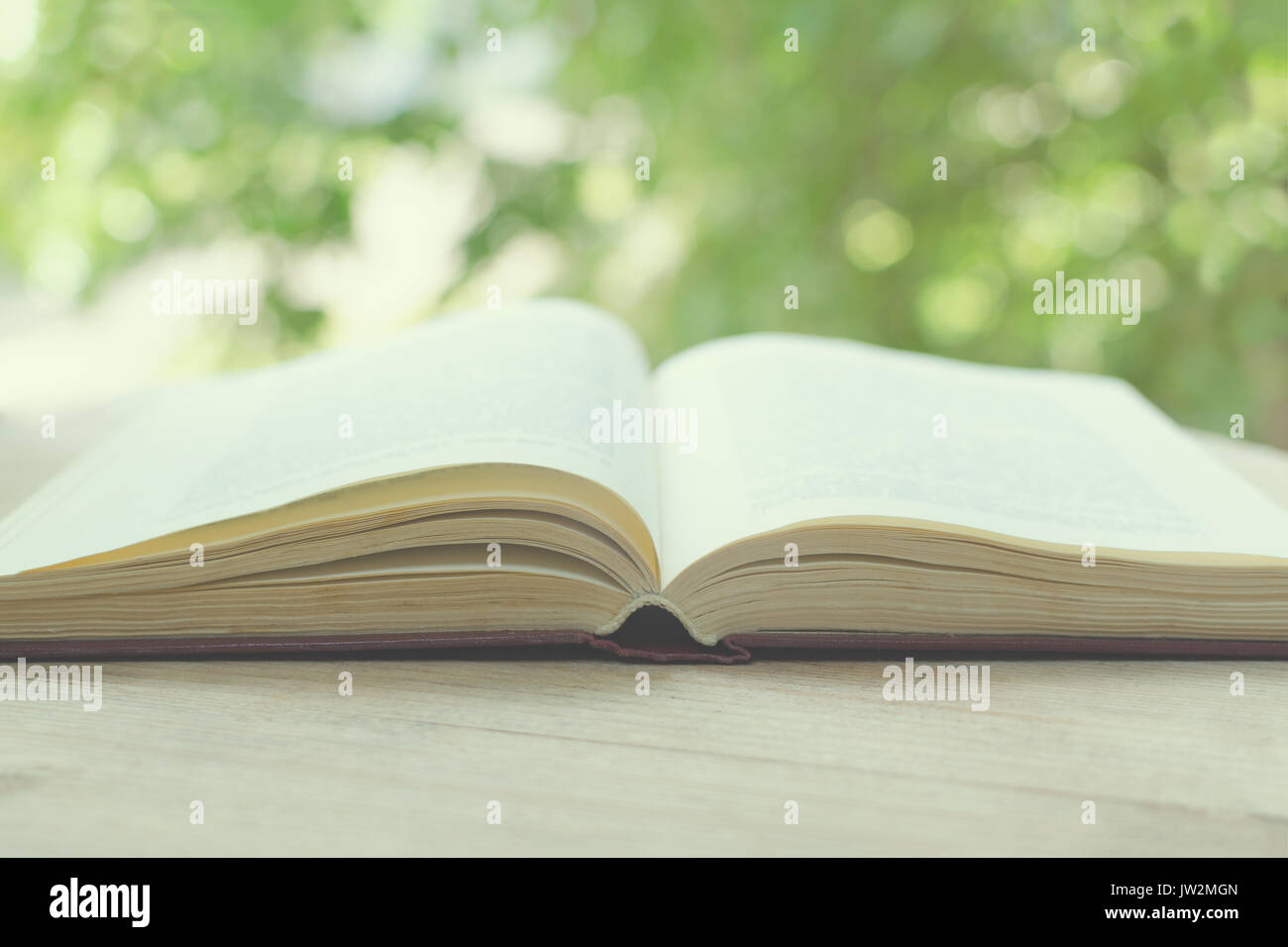 Blurred image of the open book in front of an open window with green trees. The concept of education and knowledge. Stock Photo