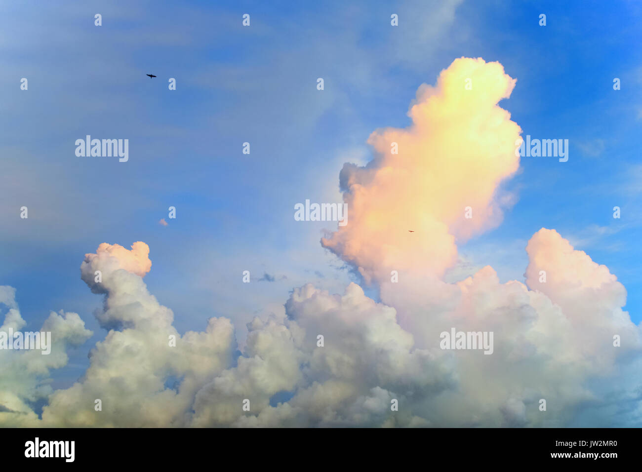 Birds in curly clouds hi-res stock photography and images - Alamy