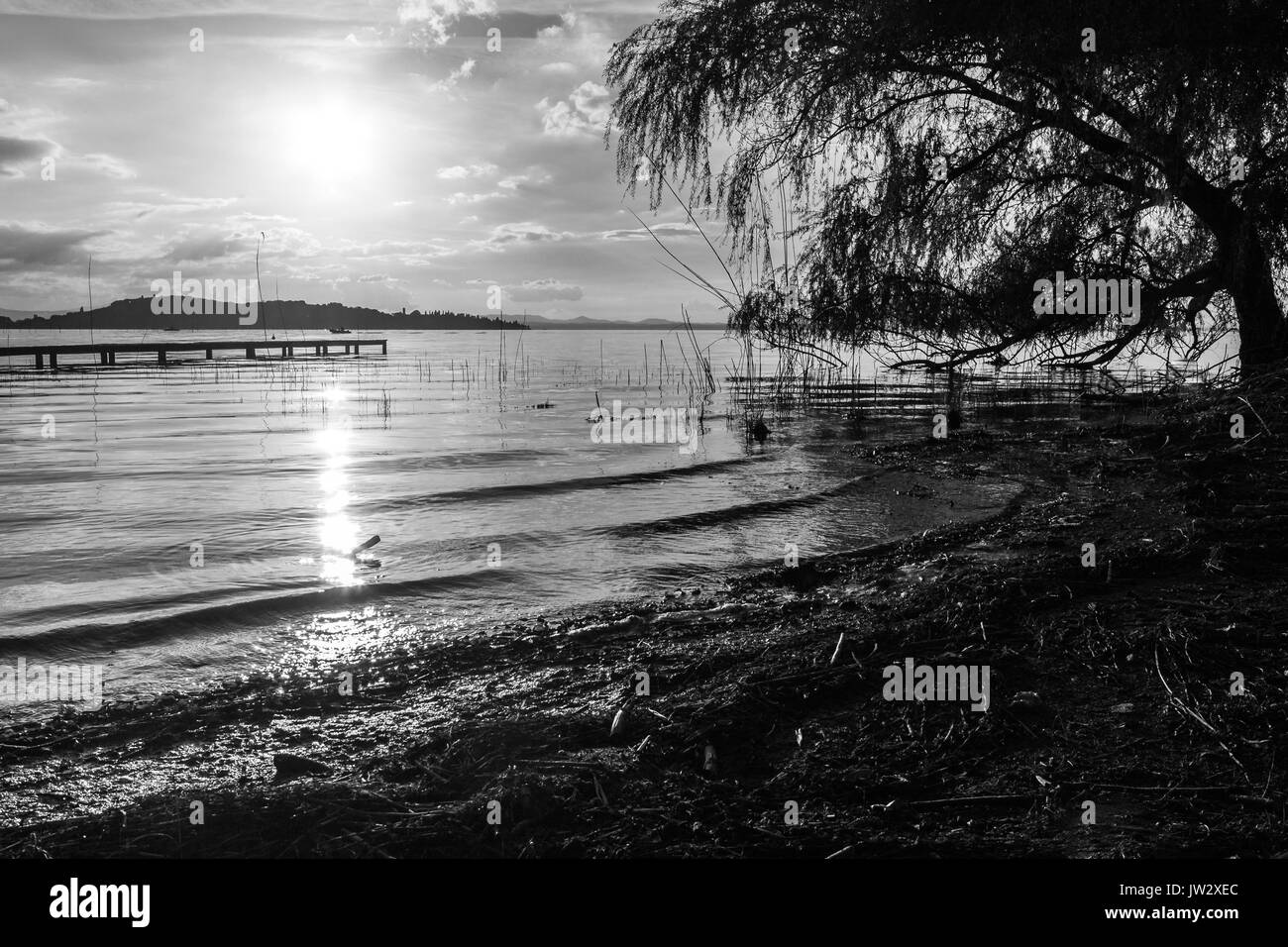 A lake shore at sunset, with sun low on the horizon and a tree in the foreground Stock Photo
