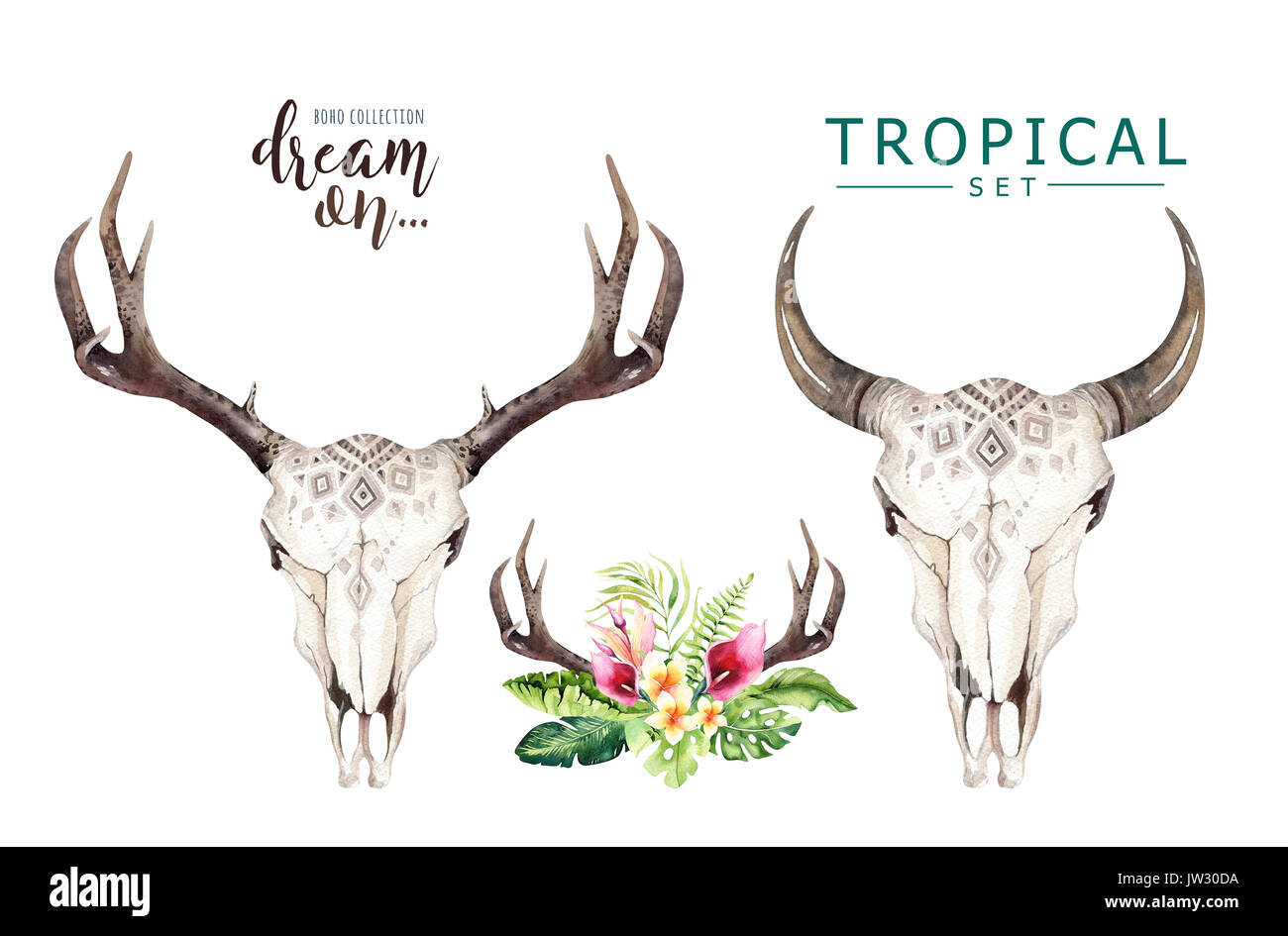 Watercolor bohemian cow skull and tropic palm leaves. Western deer ...
