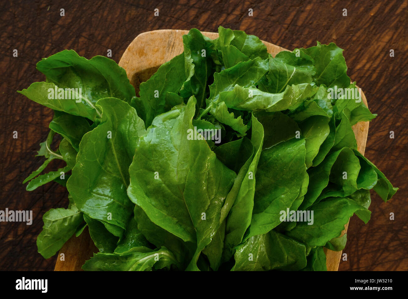 Bunch of Arugula on cutting board Stock Photo