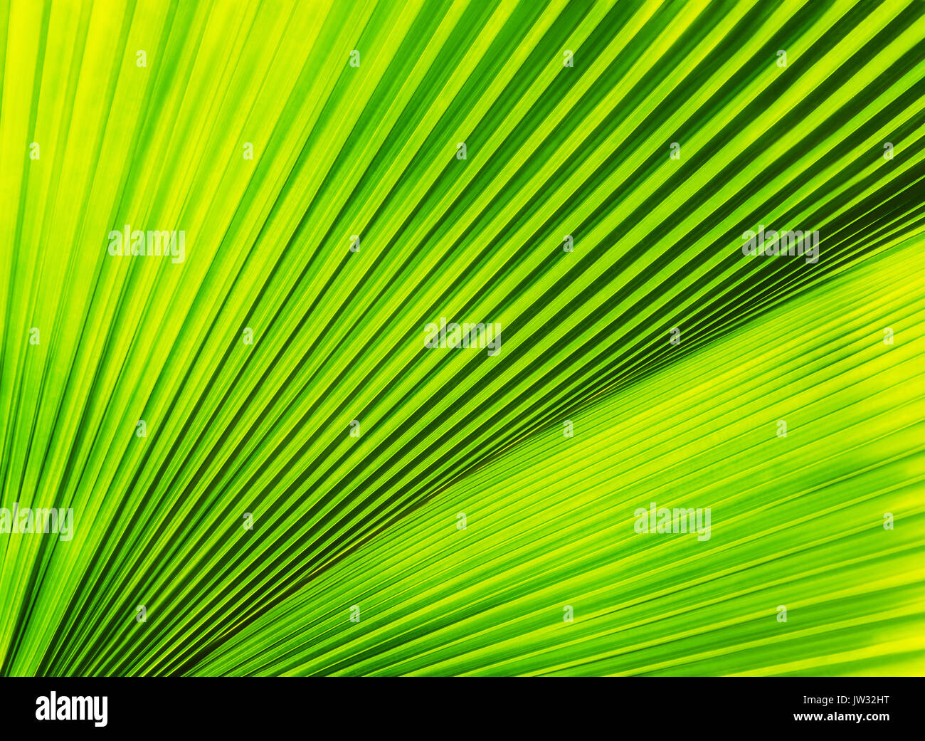 Palm up hi-res stock photography and images - Alamy