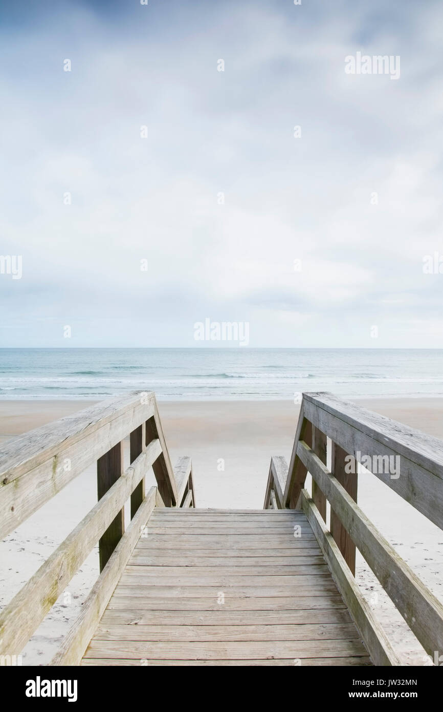 Are Dogs Allowed At North Topsail Beach